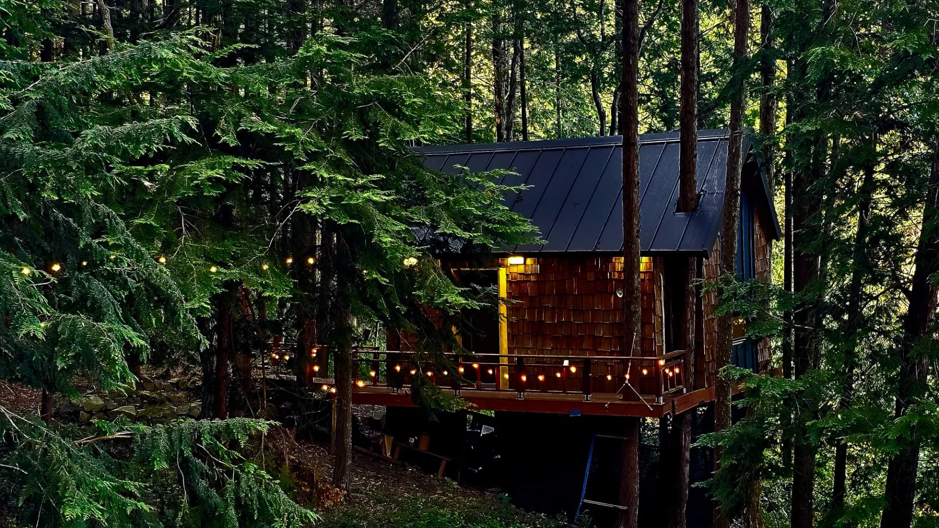 상관편백나무숲 트리하우스